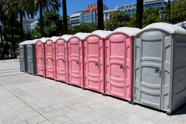 Best Portable Toilet Rental for Emergency Services  in Woodville, OH